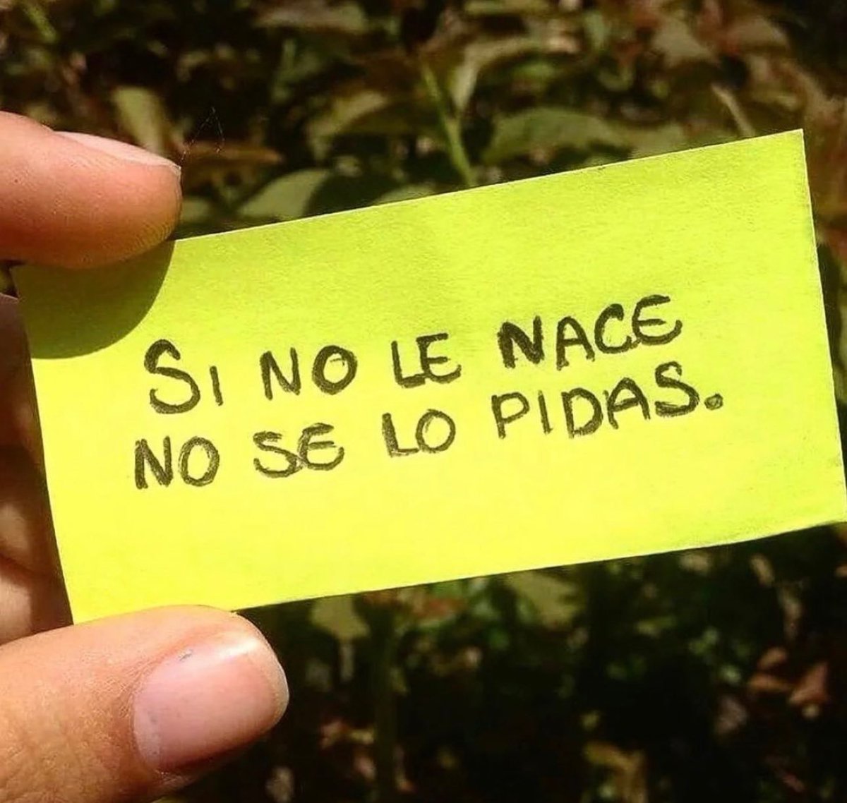 HOMBRES (@hombres) on Twitter photo 