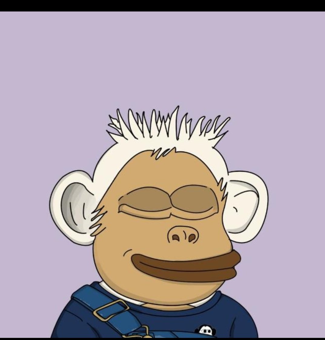 Chimps DAO tweet media