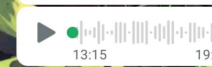 Hago un llamamiento general para pedir asesoramiento 
¿Qué debo hacer en esta situación?