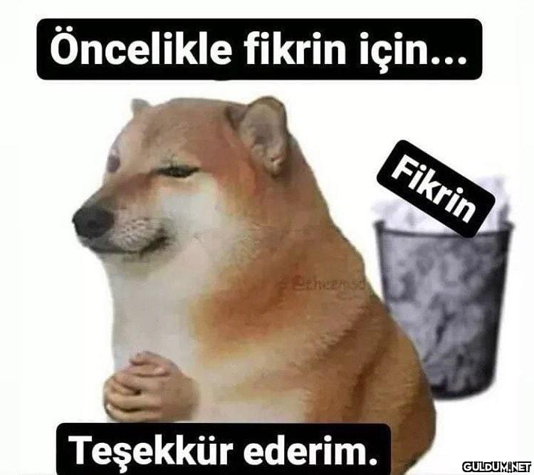 Bu "fikre" ancak bu denebilir.