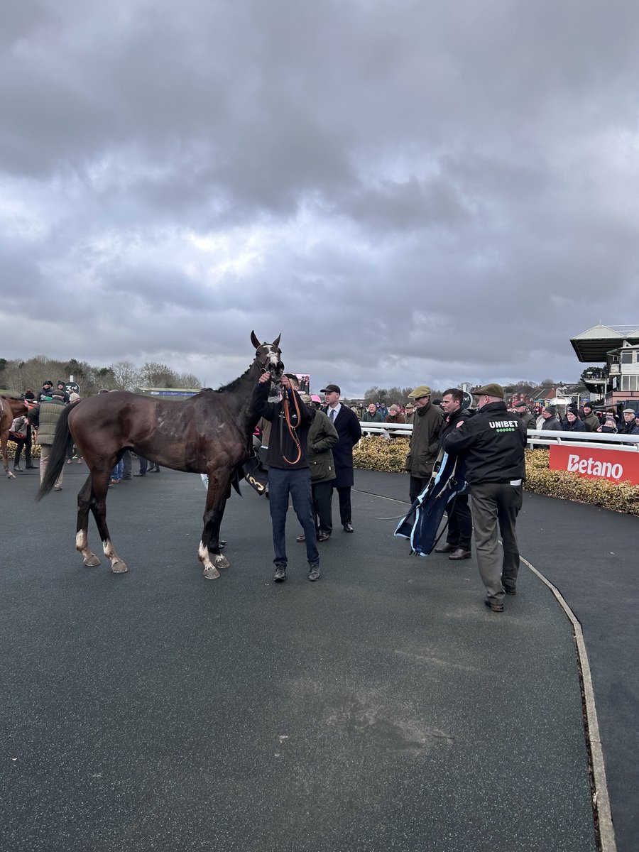 Hazelton Mountford tweet media