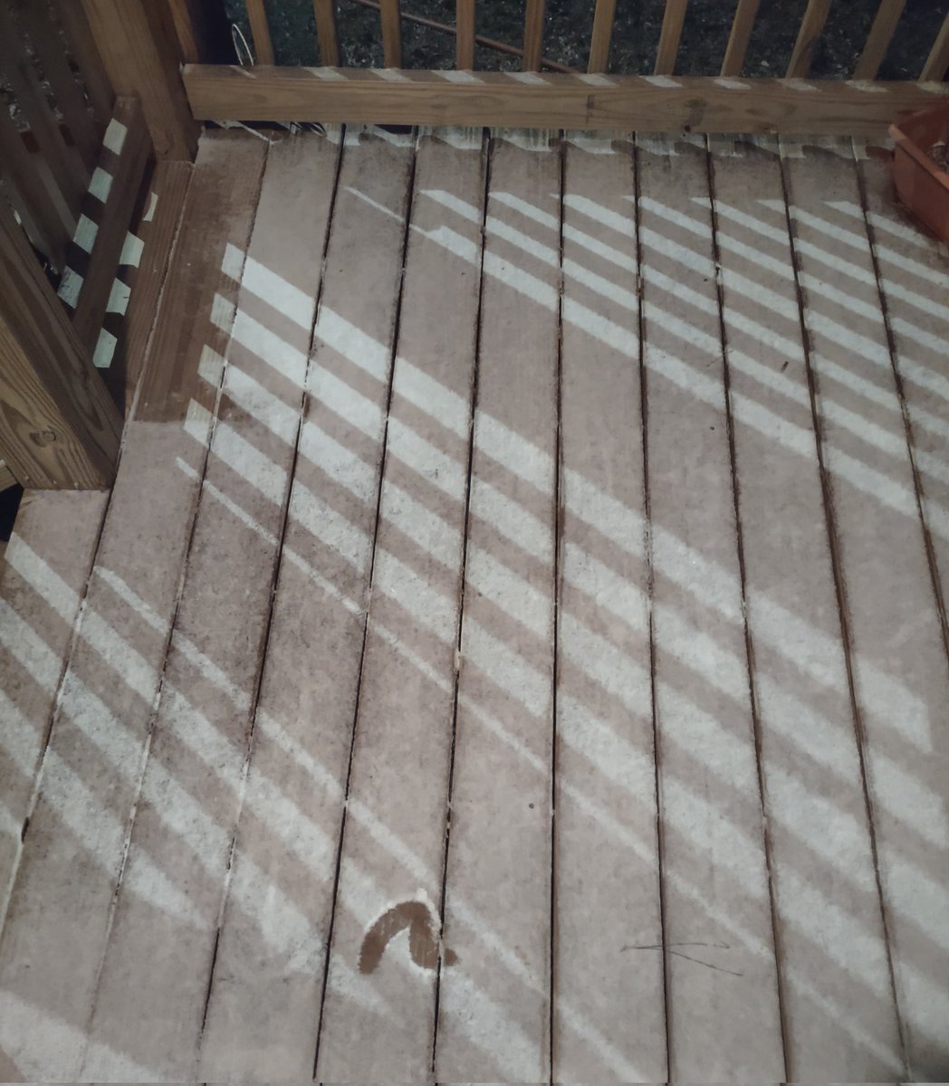 CornbreadRTR's tweet image. Good mornin' ☕🐓
It's brutal outside. Not fit fer man or beast. A little snow ❄️ this morning.