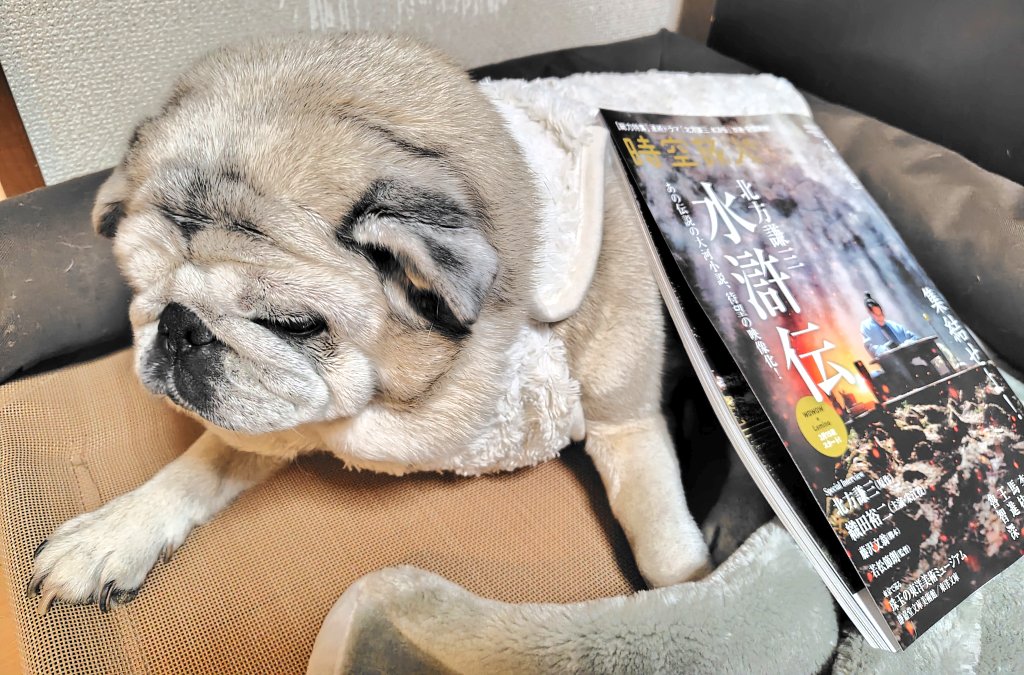 スカパーのTVガイドを買うつもりだったのに、全然違うの買ってきちゃった🤩👍💞