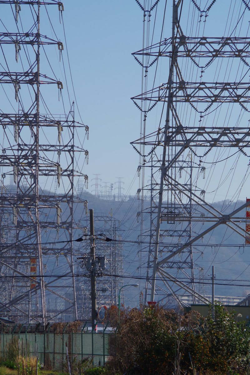 たま (@v195881) / Posts / X