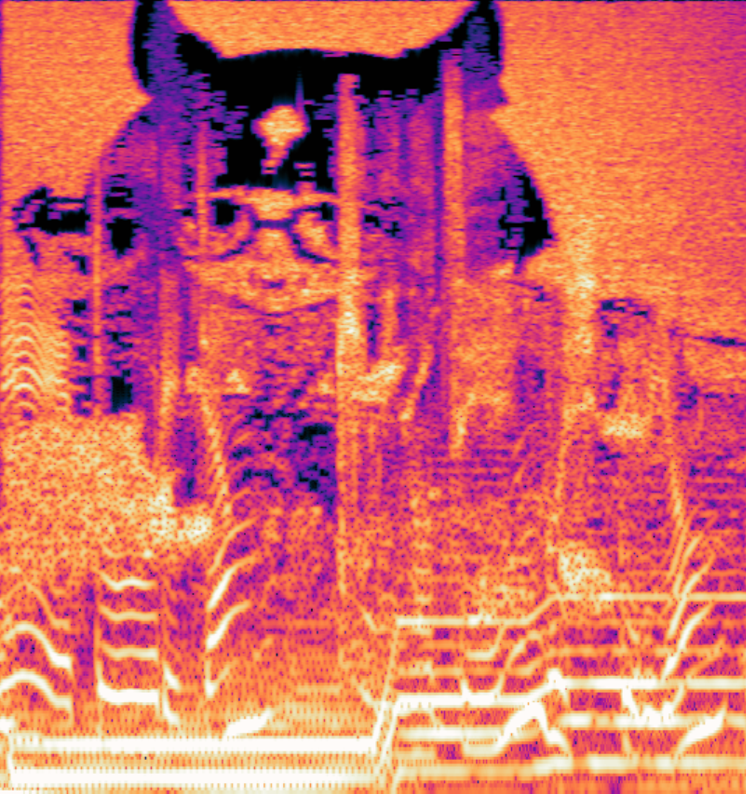 BLACK (@BLACK_ZXZ) / Posts / X