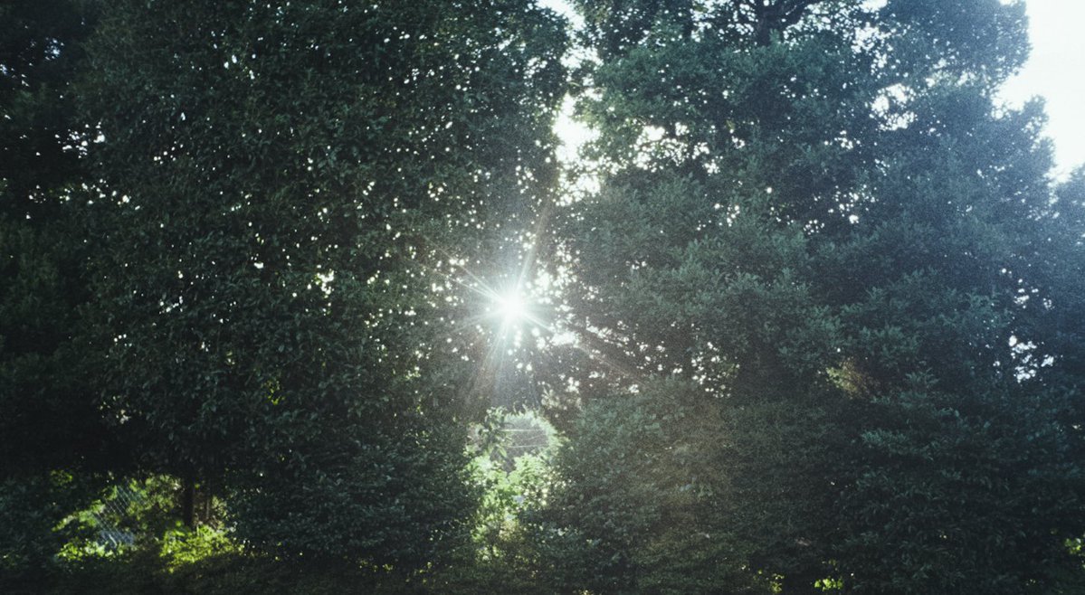 akira kino (@__ulilapis) on Twitter photo 