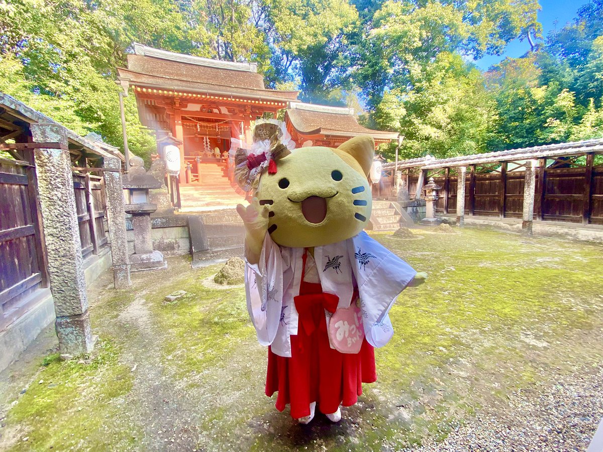 みっちゃん みっけちゃん™️【公式】💙💛🤟🏳️‍🌈大阪府枚方市PR大使 (@mikkeichi