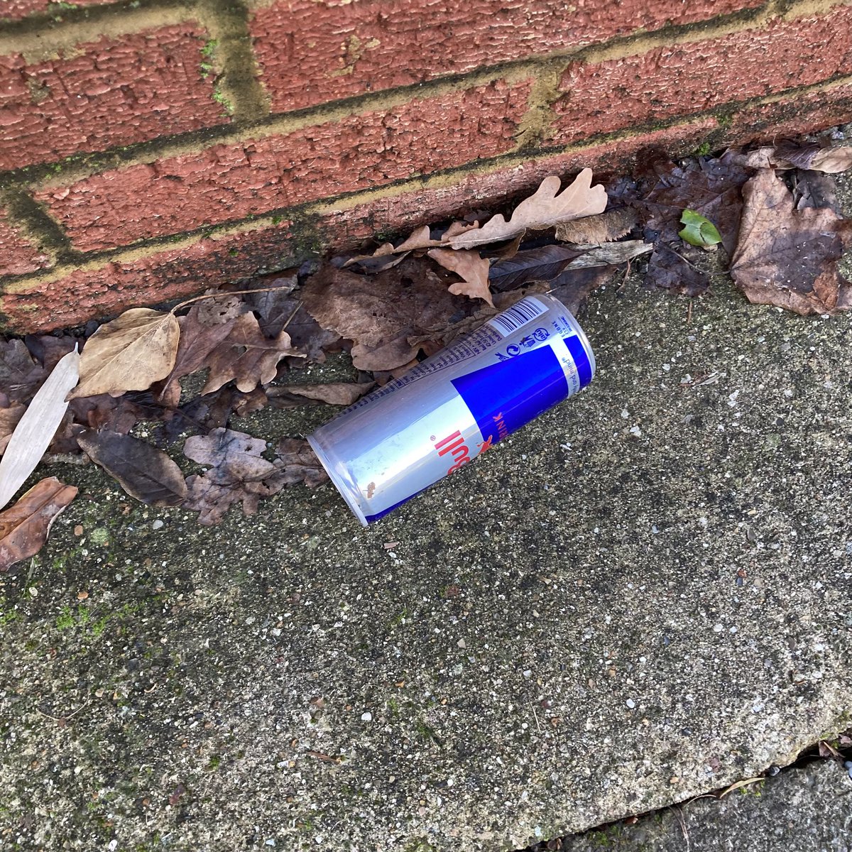 Red Bull Litter tweet media