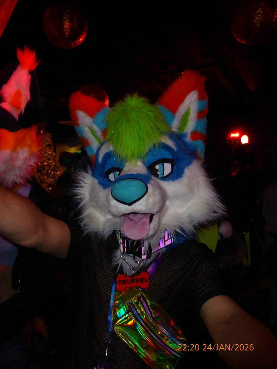 Benjamin 🐾🦴 tweet media