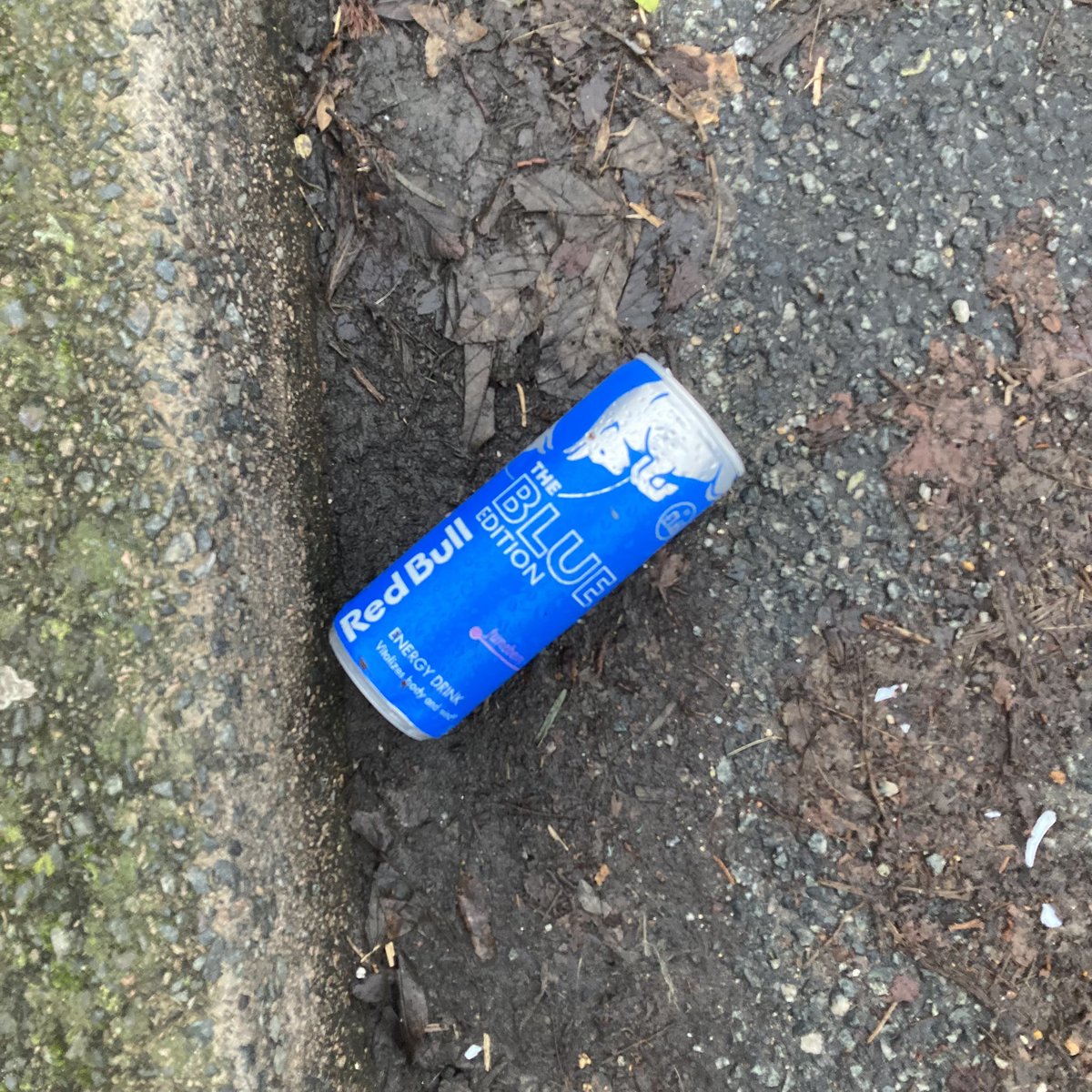 Red Bull Litter tweet media