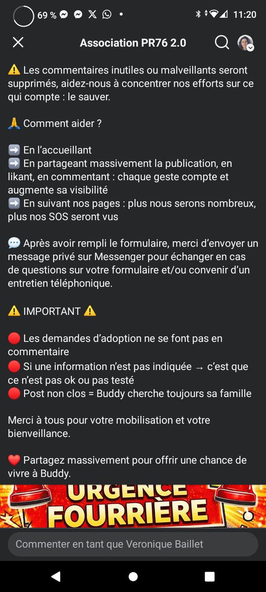 Toujours aucune famille pour Buddy 💔😥 SOS Euthanasie ⚠️ Fourrière Ile de France ⚠️ ⚠️Le poignant et magnifique Buddy (2 ans, non catégorisé) est toujours en fourrière car aucune famille pour lui sauver la vie 💔 Merci de partager SVP 🙏  Asso PR76/SPAGA facebook.com/share/p/187aVJ…