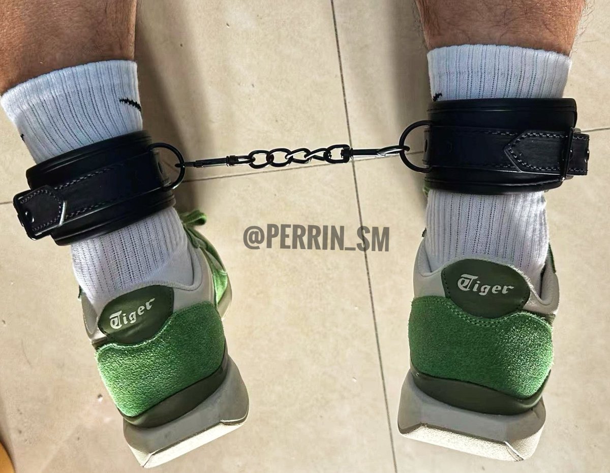 小小Perrin tweet media