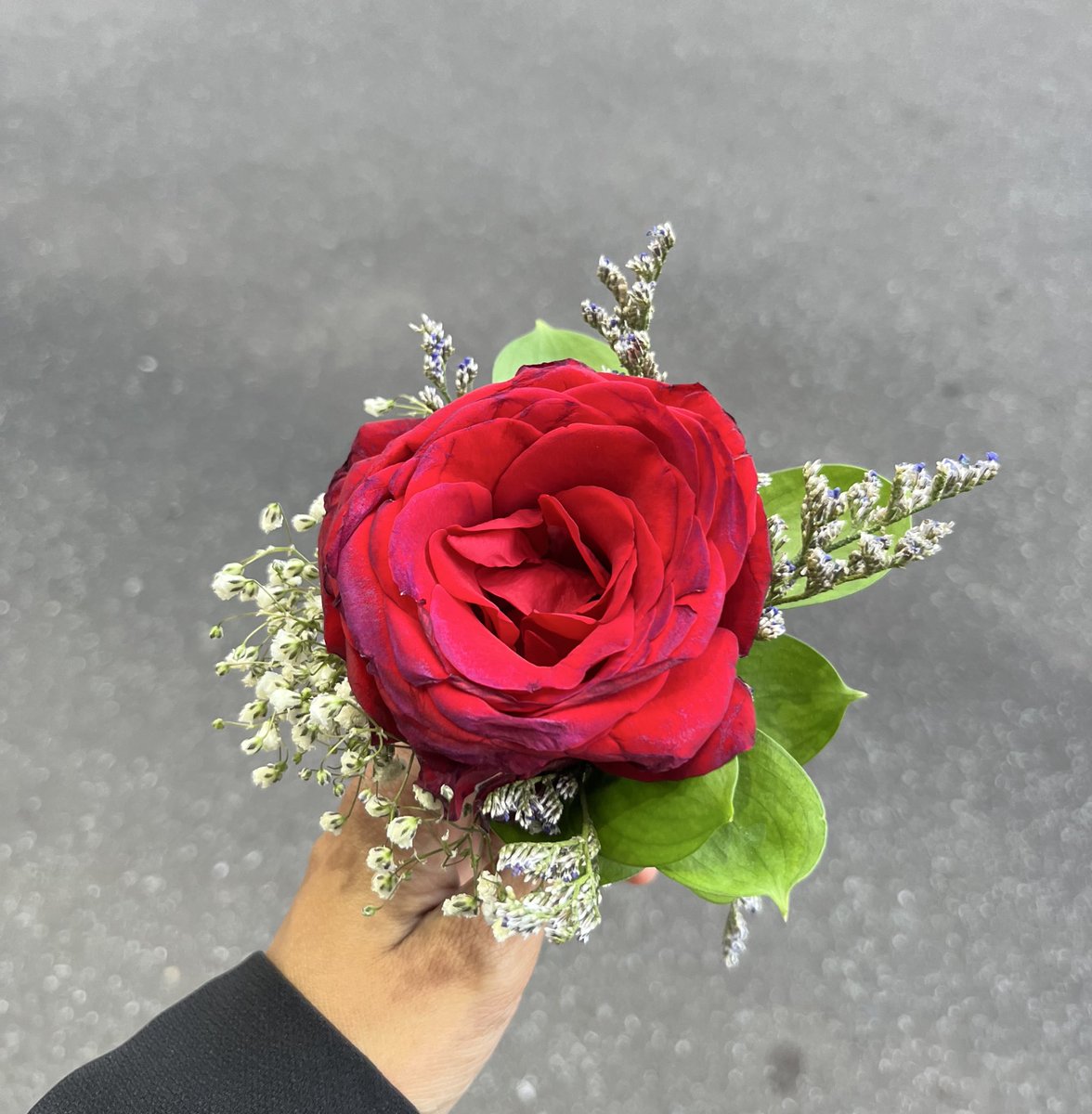 pasteIsoft's tweet image. 🌹