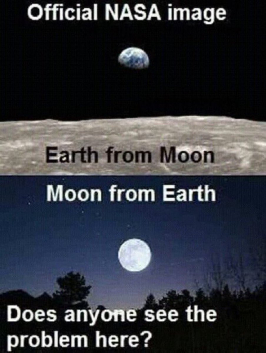 FLAT OUT TRUTH tweet media