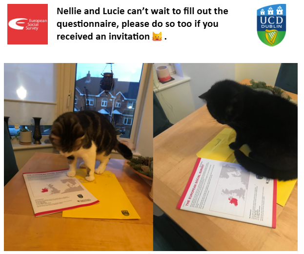 ESS Ireland tweet media