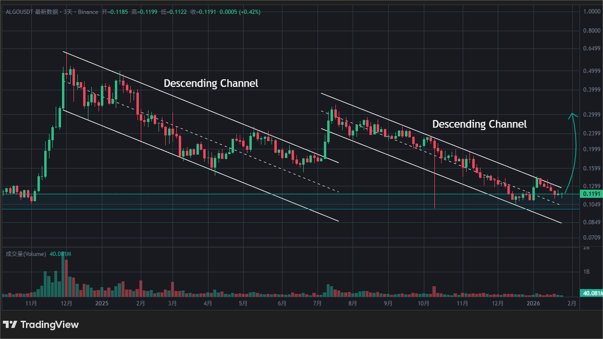 ALGO / USDT 在3日线下降通道内支撑区域正面临考验！买盘强势守护，蓄势已久——一旦成功站稳支撑，牛市动能将全面爆发，新一波上涨腿即将启动，直冲更高目标！🚀  ----------------------------------- $ALGO / USDT is facing the support zone  inside the descending ...