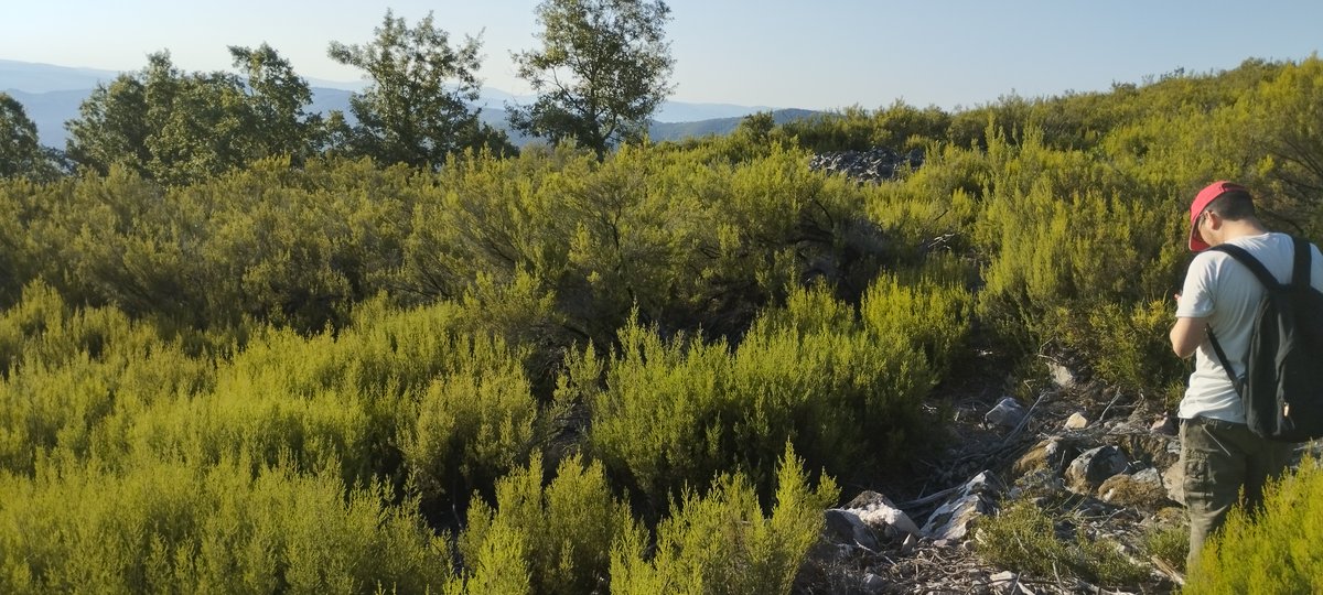 ReddeCastros's tweet image. Proyecto de Investigación Arqueológica del occidente Berciano,
evolución del área de los Ancares desde la prehistoria a la Edad Media 

Proyecto de Intervención Arqueológica en el Castro de Peña Piñera (Sésamo, Vega de Espinareda, León)

sociedadibericadearqueologia.com/proyecto-de-in…

@ReddeCastros