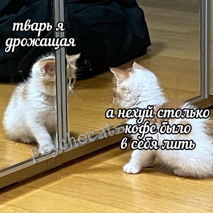 fengxinnear's tweet photo. При всей любви к кофе, я точно знаю, что перебарщивать нельзя...

А мешать с энергетиками или алкоголем тем более!!!

Будь аккуратнее в том, сколько кофеина ты потребляешь 
[☕; 💌; 🍫] https://t.co/Ni10PoGpke