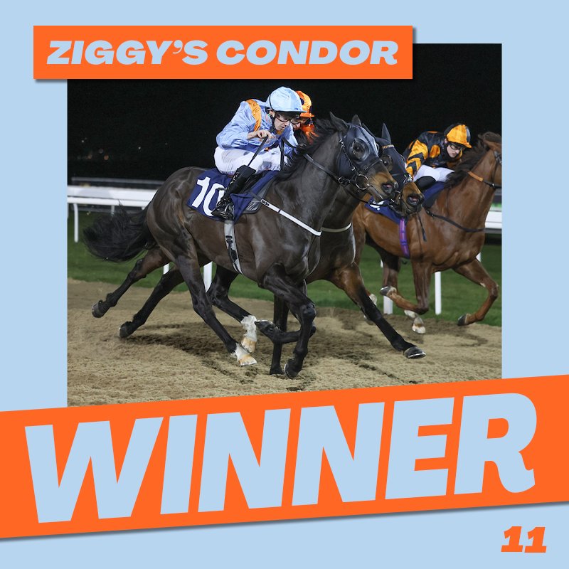 Middleham Park Racing tweet media