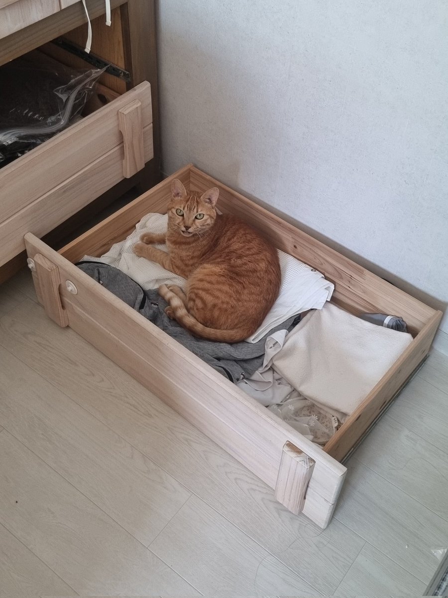 서랍 고치게 나와주셨음 해요