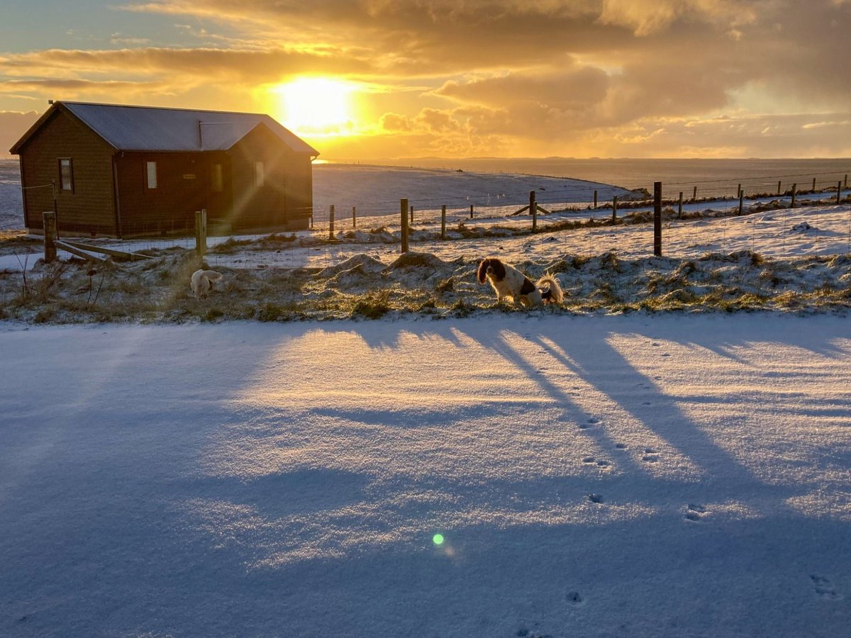 TheHolidayCots's tweet photo. 🌊 Stay at Bethany, Fetlar 🌊
Bethany is a beautifully refurbished one-bedroom wooden chalet located at Aithness on the south coast of Fetlar, offering stunning views across pastoral farmland and out to sea. 🌾
🛏️ Sleeps 9
https://t.co/KUjTAj0n0c
#Fetlar #SelfCateringStay https://t.co/2HVKwHIlNg