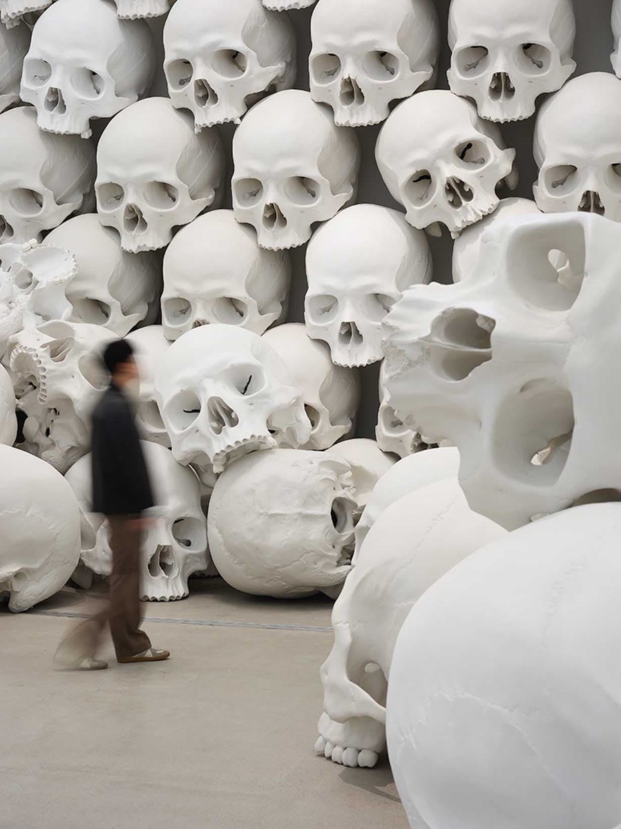 高品質！ エミュ　頭骨 巨大すぎる、あるいは小さすぎる人物像。オーストラリア出身のロン