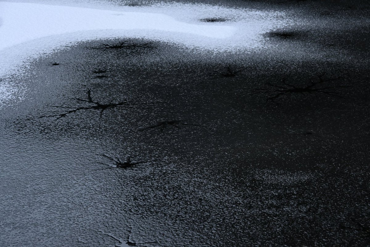 8703photography (@8703photography) on Twitter photo 