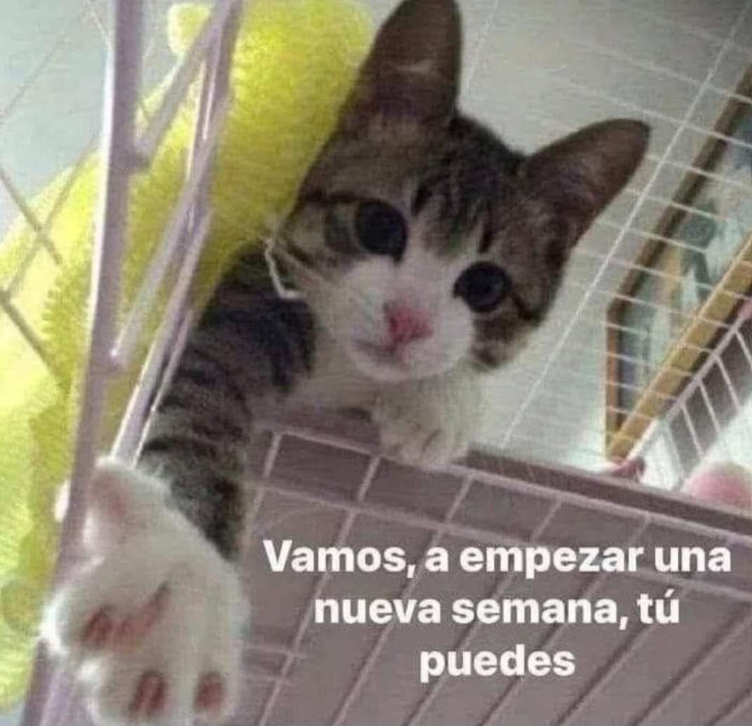 En_jupiter_'s tweet image. 