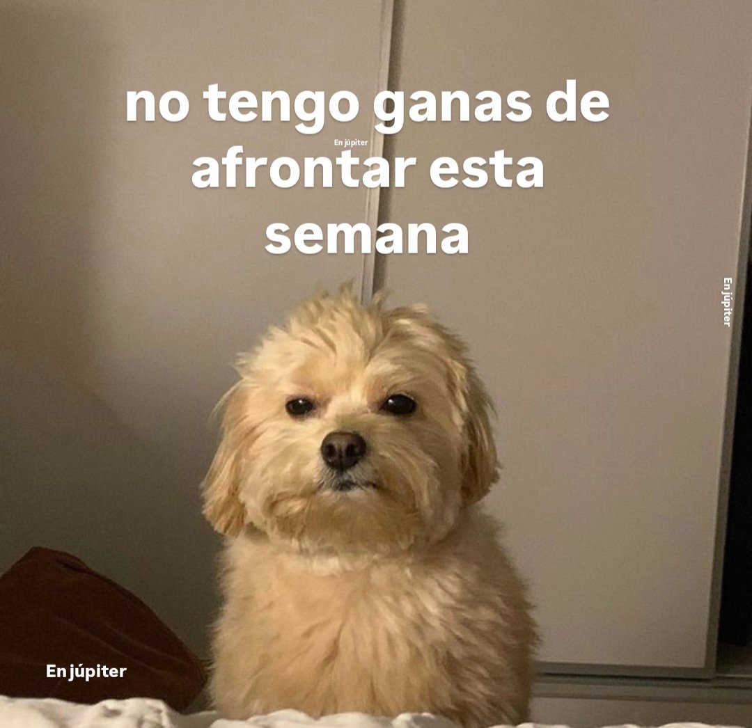 En Júpiter (@en_jupiter_) on Twitter photo 