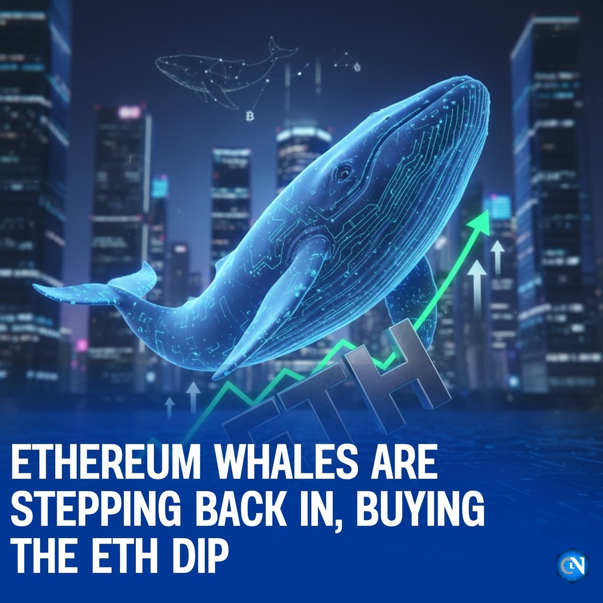 Ethereum whales are back in accumulation mode, scooping up the ETH dip as  prices cool off a move that often signals rising confidence from major  holders despite short-term volatility. #Ethereum #ETH #CryptoWhales #