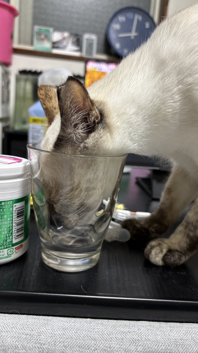 蔵人@光合成 tweet media