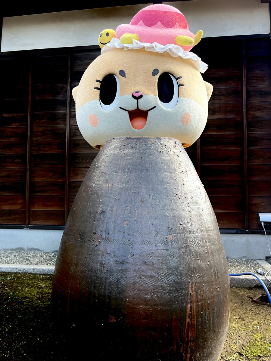 カメちゃん🐢 (@kamechan7407) / Posts / X