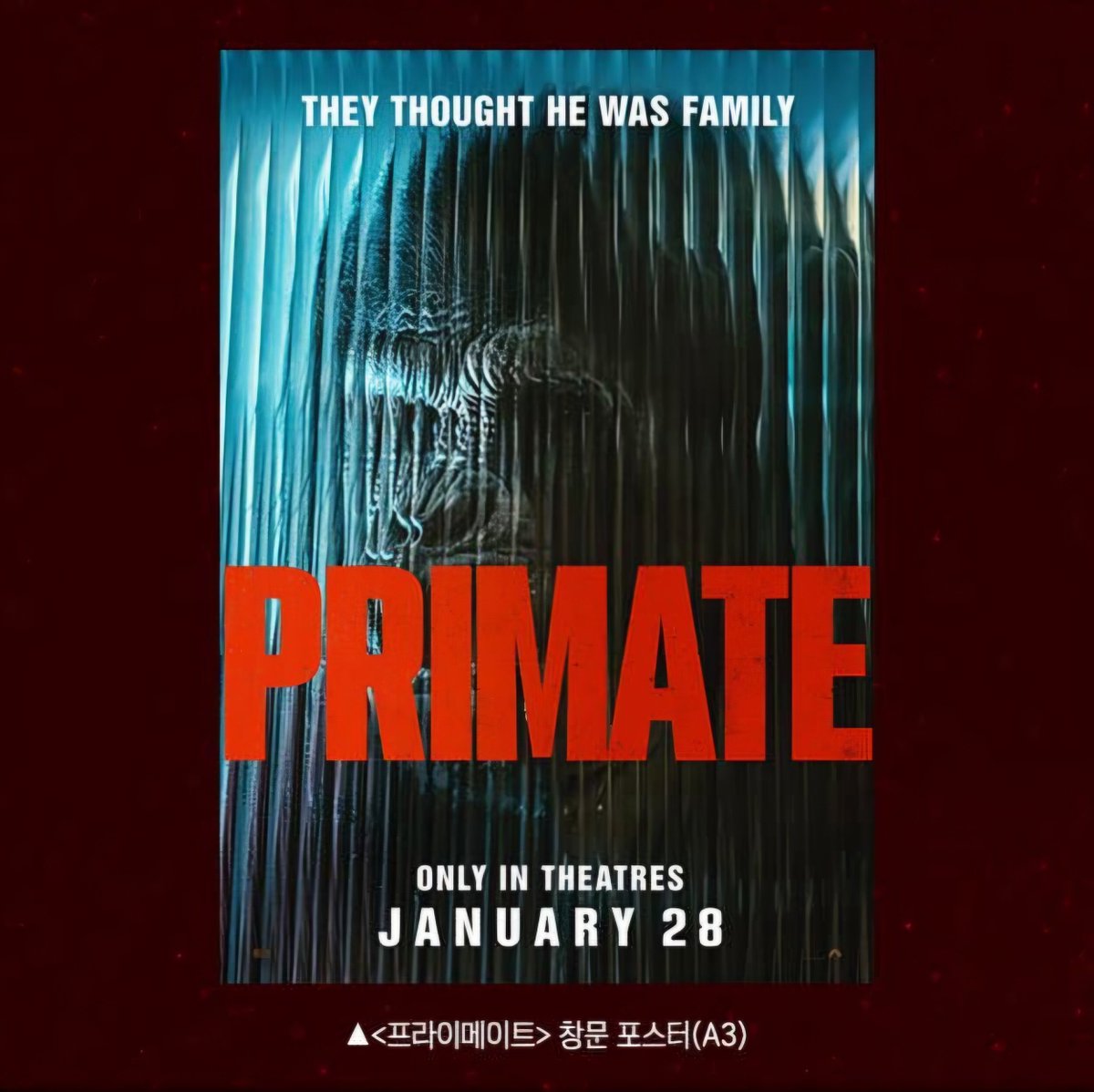 프라이메이트 영화 특전 포스터 장당 1.3 1/28(수)~ 대리 수령 해드립니다 프로필 카톡으로 문의주세요 #프라이메이트 #Primate