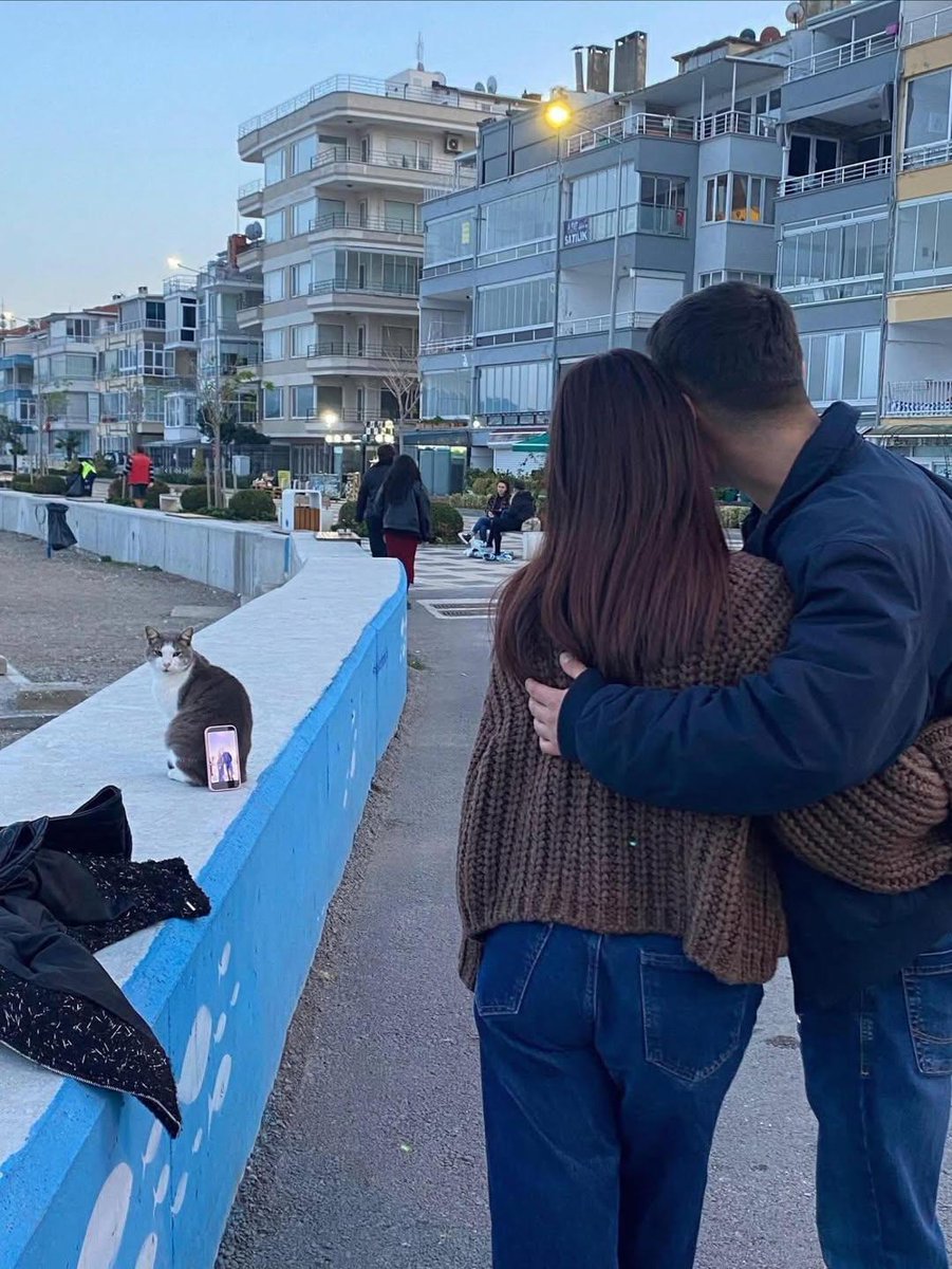 itsme_urstruly's tweet image. A couple was spotted in Turkey using a cat as a tripod 😂