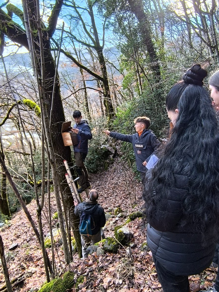 Hem realitzat una activitat amb CFGM Forestal de l’INS #PontdeSuert sobre cartografia digital, ús del GPS i localització de caixes niu de liró gris. L’activitat s’emmarca en el programa de monitorització del liró gris a Catalunya, una espècie clau com a bioindicadora dels boscos.