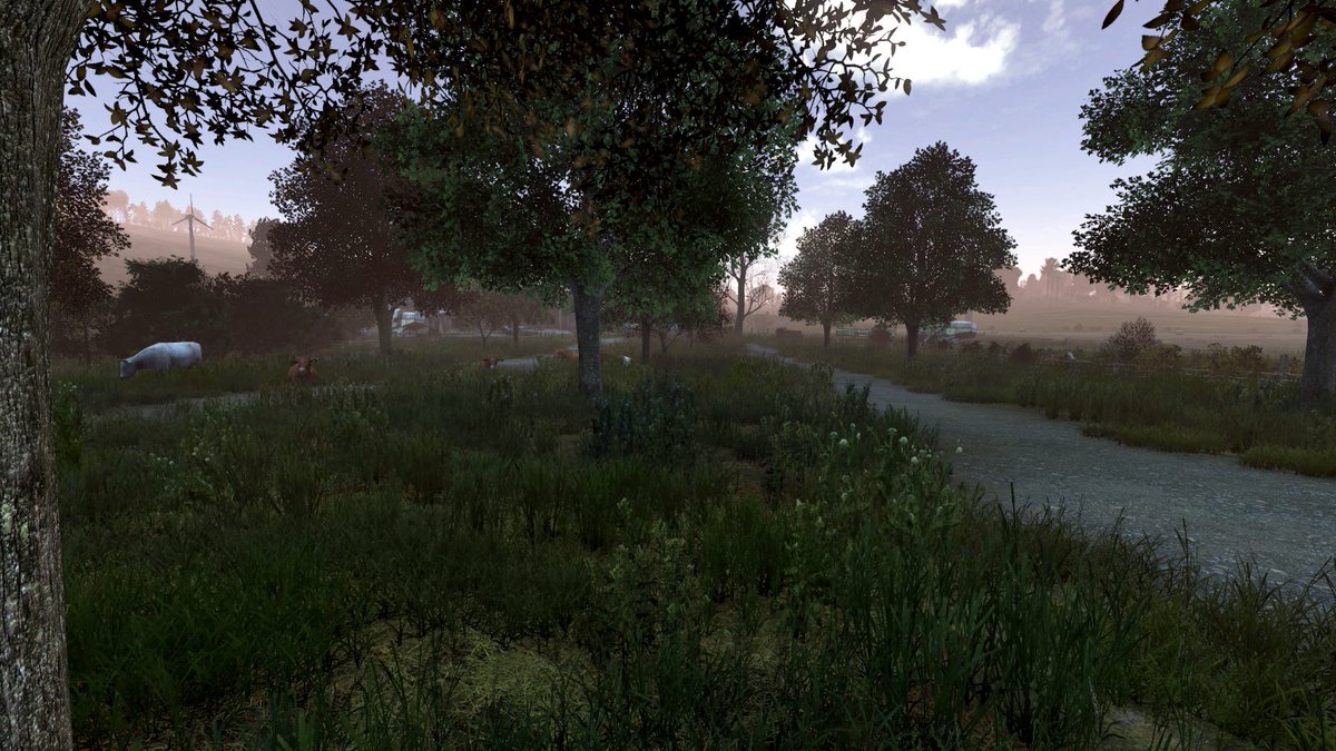 Good morning Novikostok