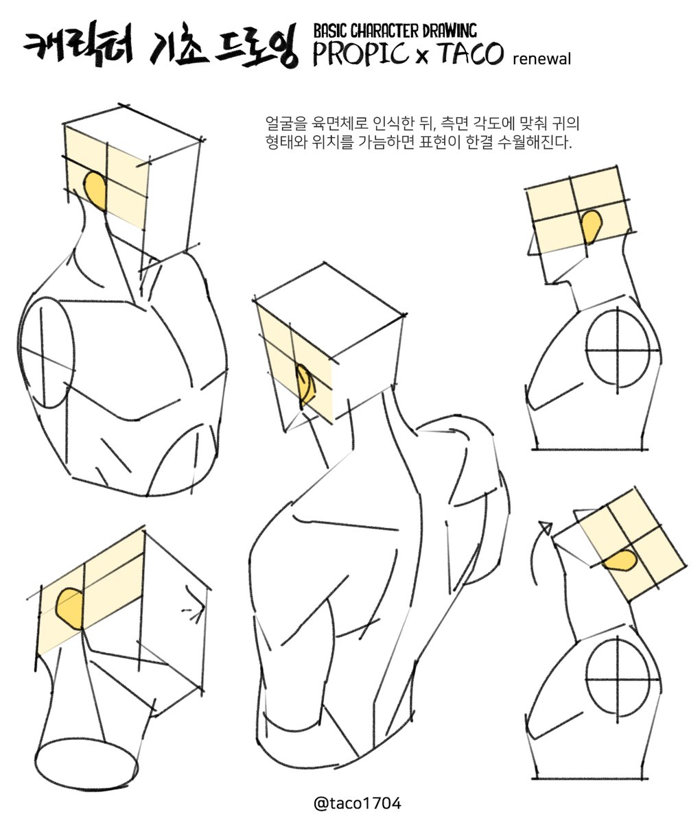 얼굴을 육면체로 인식한 뒤, 측면 각도에 맞춰 귀의 형태와 위치를 가늠하면 표현이 한결 수월해진다.