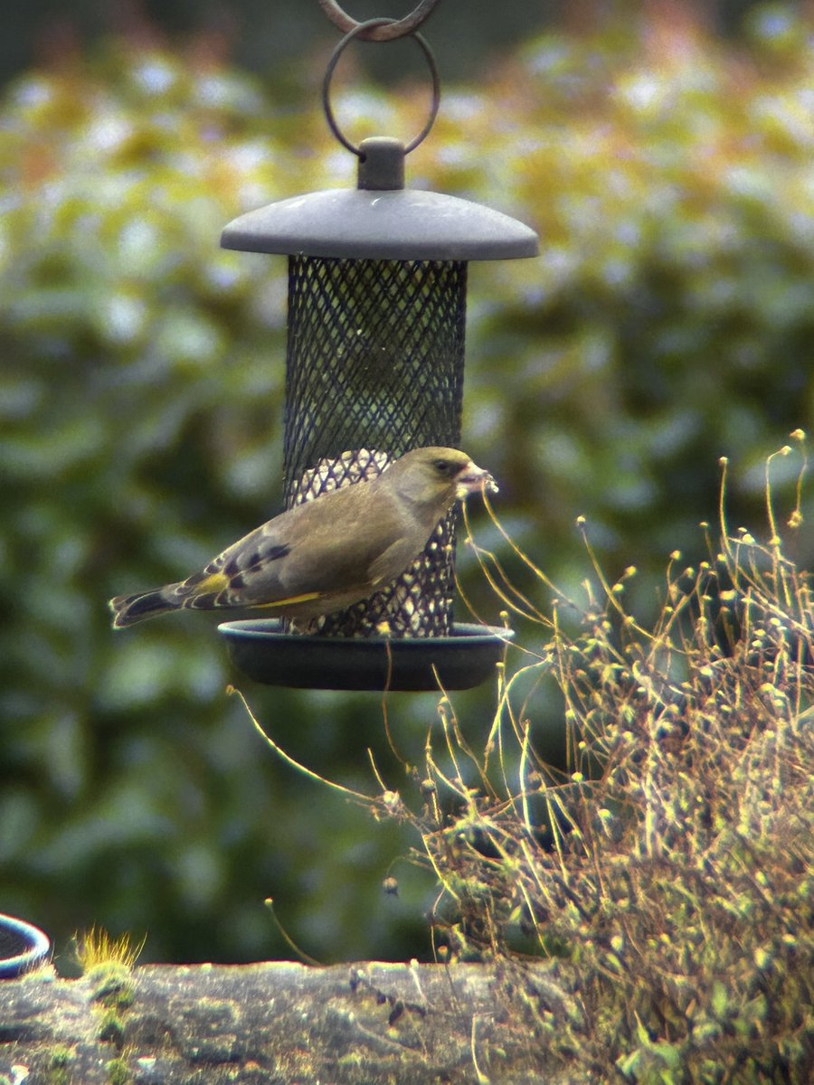 leilani dowding 🌸🚜 ☮️ tweet media