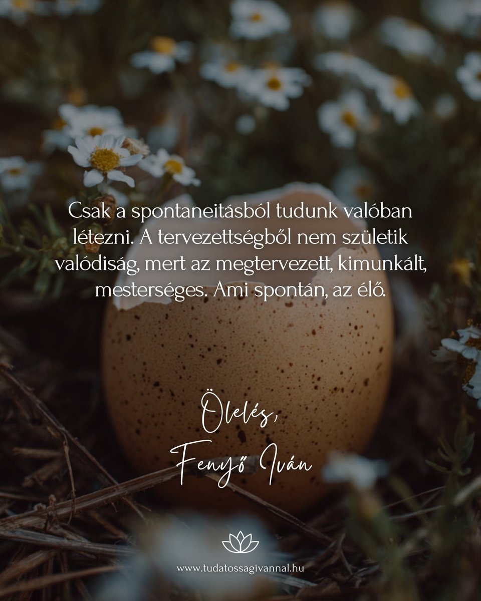 zákány orsolya (@napsugarorsika) on Twitter photo 