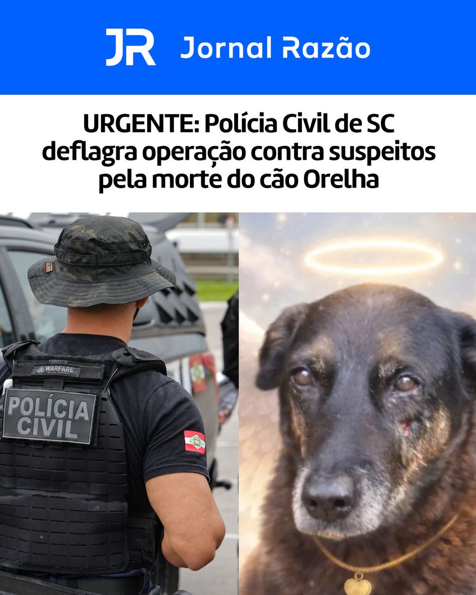 jornalrazao's tweet image. 🚨🔵 Promessa cumprida: Polícia Civil de SC deflagra operação, apreende celulares de suspeitos e familiares após morte do cão Orelha na Praia Brava, e quebra de sigilo pode expor conversas e vídeos do crime

O Jornal Razão teve acesso exclusivo à operação da Polícia Civil de…