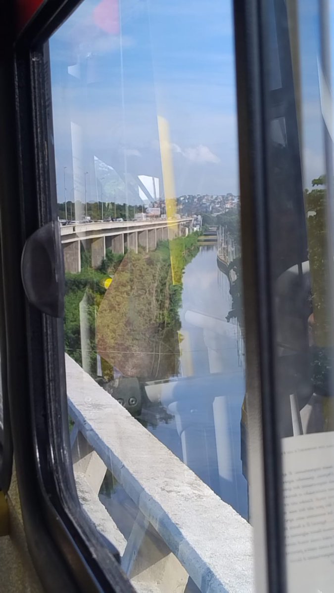 Reinaldo Cintra SF tweet media