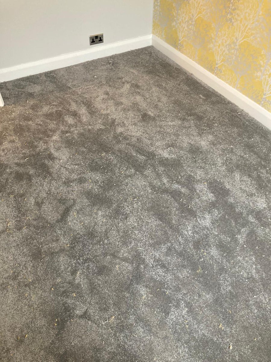 🌞Brightening up your #MondayMood with this sunny décor🌞 
Paired up to the <a href="/AbingdonCarpets/">Abingdon Flooring</a> Captivation #Carpet colour Frosted Steel 02. 
#Shoplocal #Supportlocal #Beeston #Nottingham #AbingdonFlooring #MondayMotivation