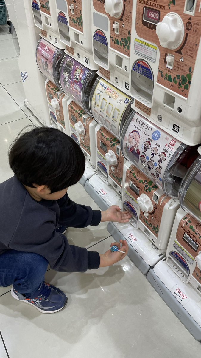 うちの息子に好きなガチャしていいよって伝えたら迷いなくしぐれういガチャ。

育て方間違ってなかったわ