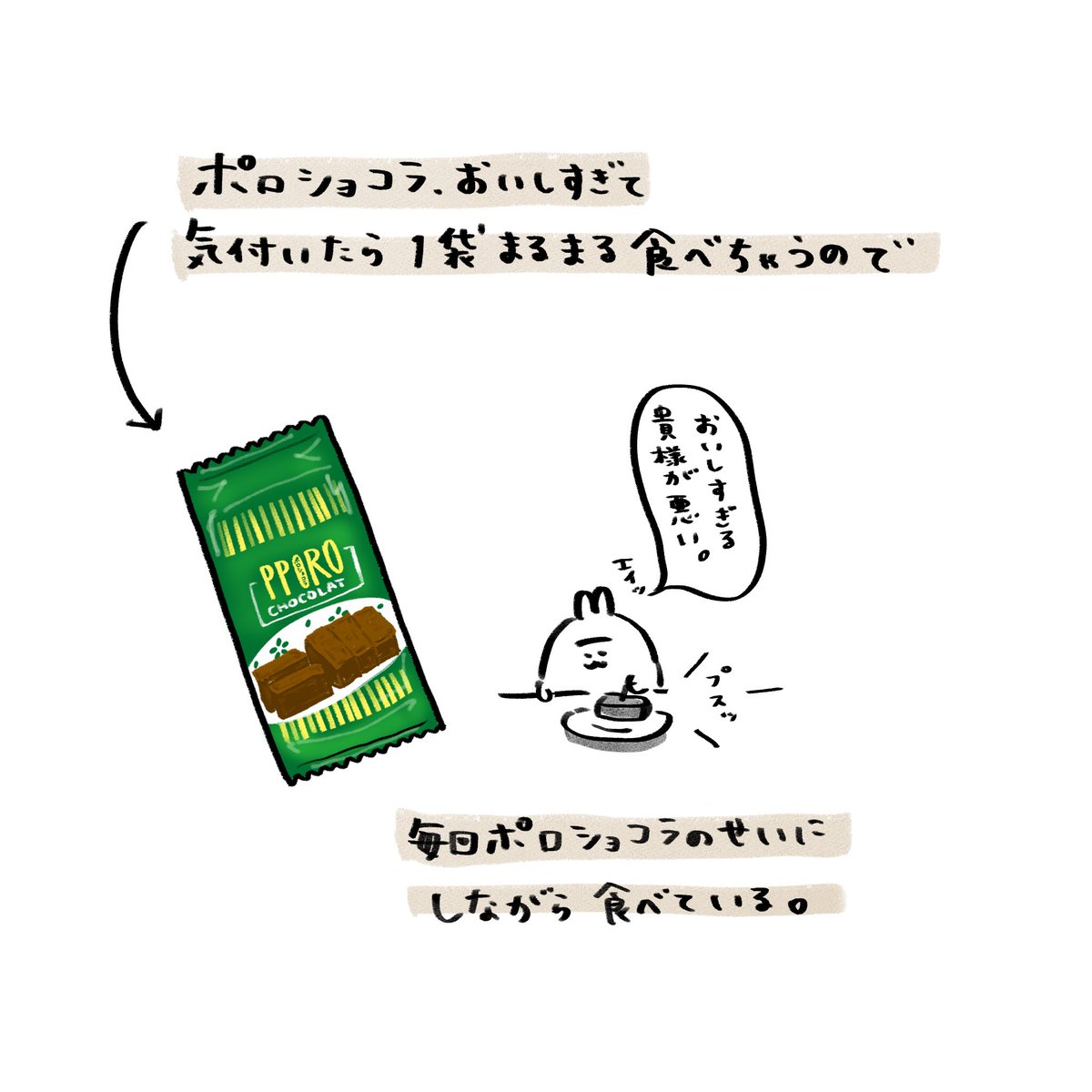 魅惑のお菓子、ポロショコラ