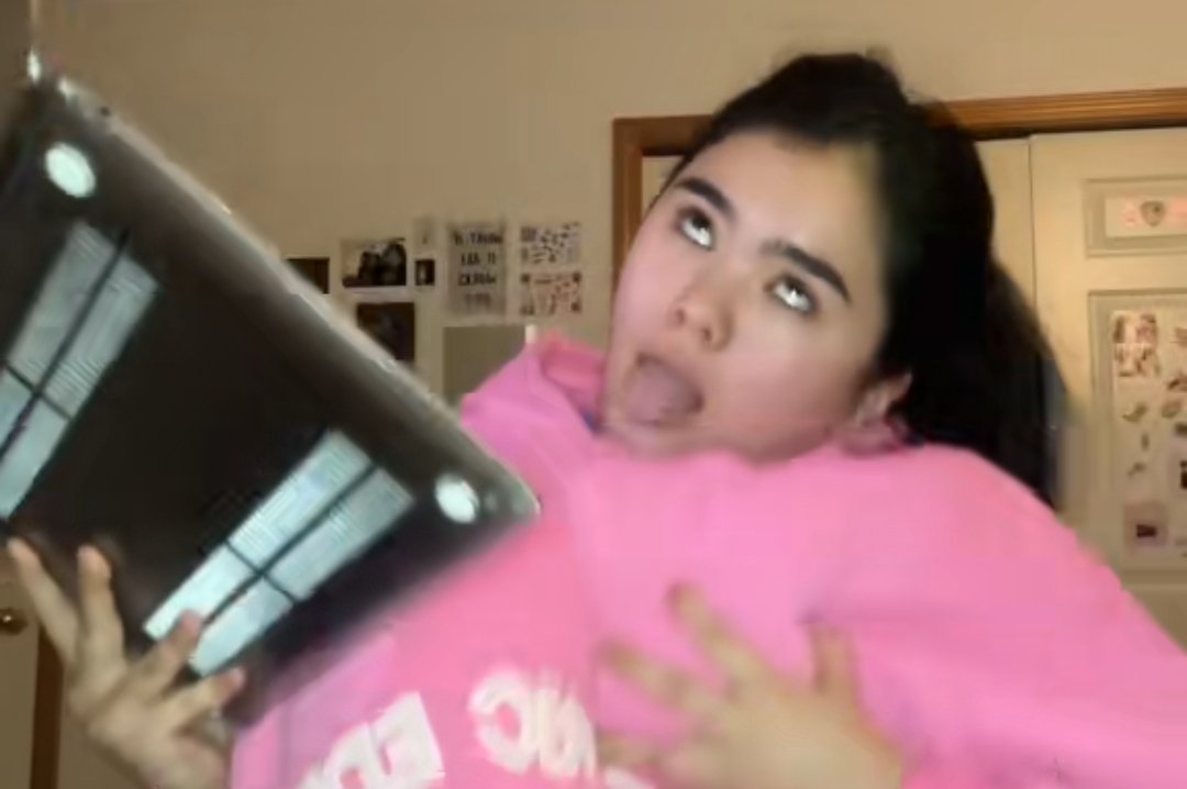 meeko | busy in school tweet media