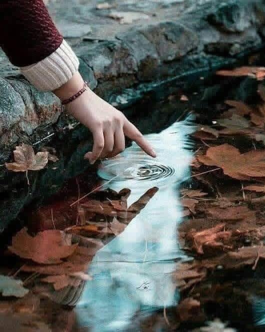 acrstico2's tweet image. Buenos días  a todos

“Al final entendemos que muchas personas forman parte de nuestra historia, pero no de nuestro destino”

La palabra de hoy es:  DESTINO

#PorElPlacerDeEscribir

Infinitas gracias por sus aportes