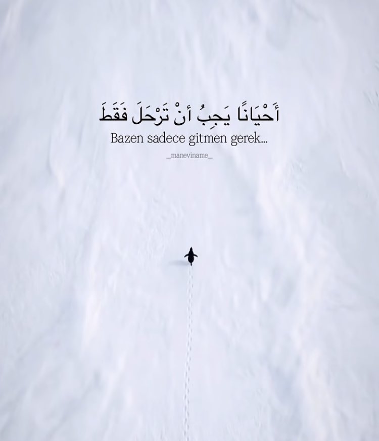 🐧 SÜRÜDEN TERS YÖNE GİDEN PENGUEN ❄️

Bu fotoğraf Antarktika’dan.
Buz gibi bir boşluk.
Dondurucu rüzgâr.
Ve yüzlerce penguenin aksine tek başına yürüyen biri…
İlk bakışta “kaybolmuş” gibi görünüyor.
Ama belki de en doğru yöne giden o.
#ALTIN #gündem
#penguen