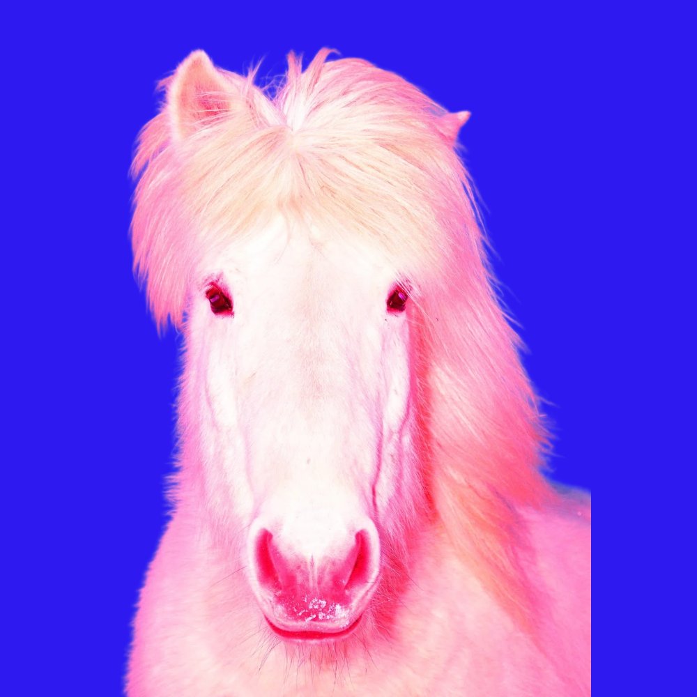 electrichorse tweet media