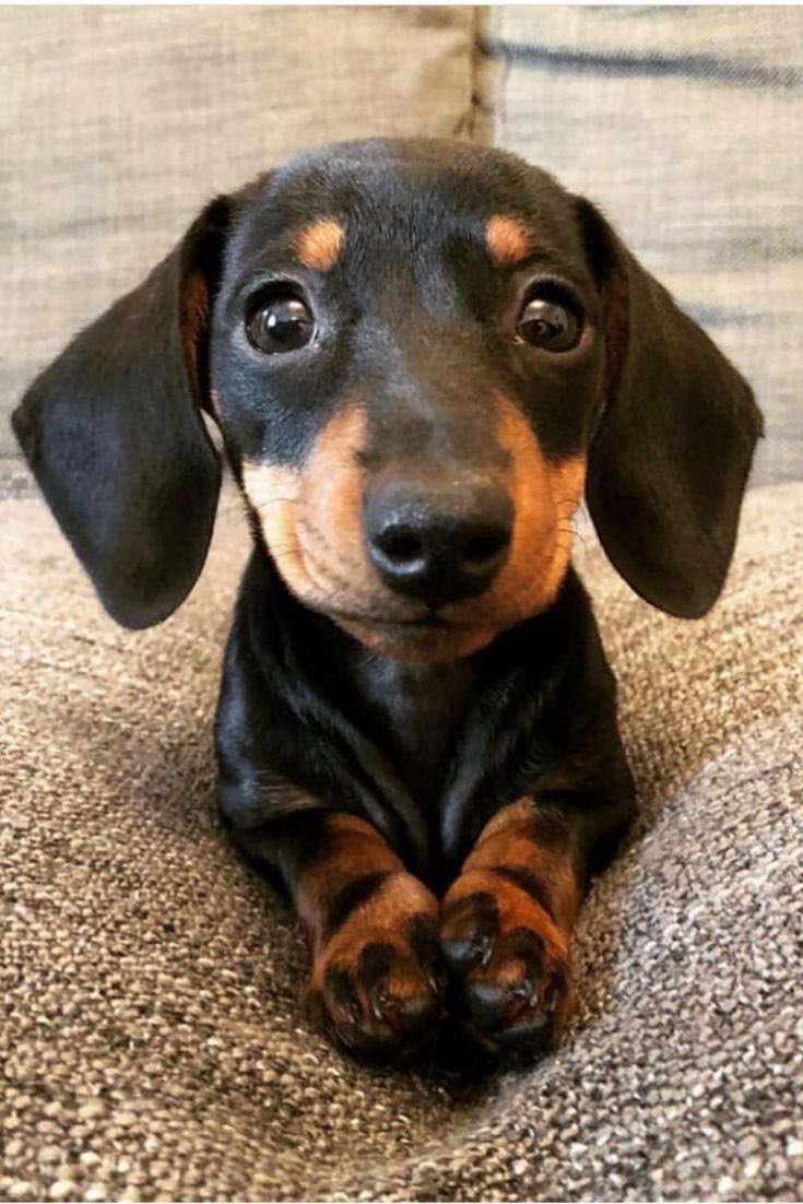 원필 셀카 대개이런느낌임