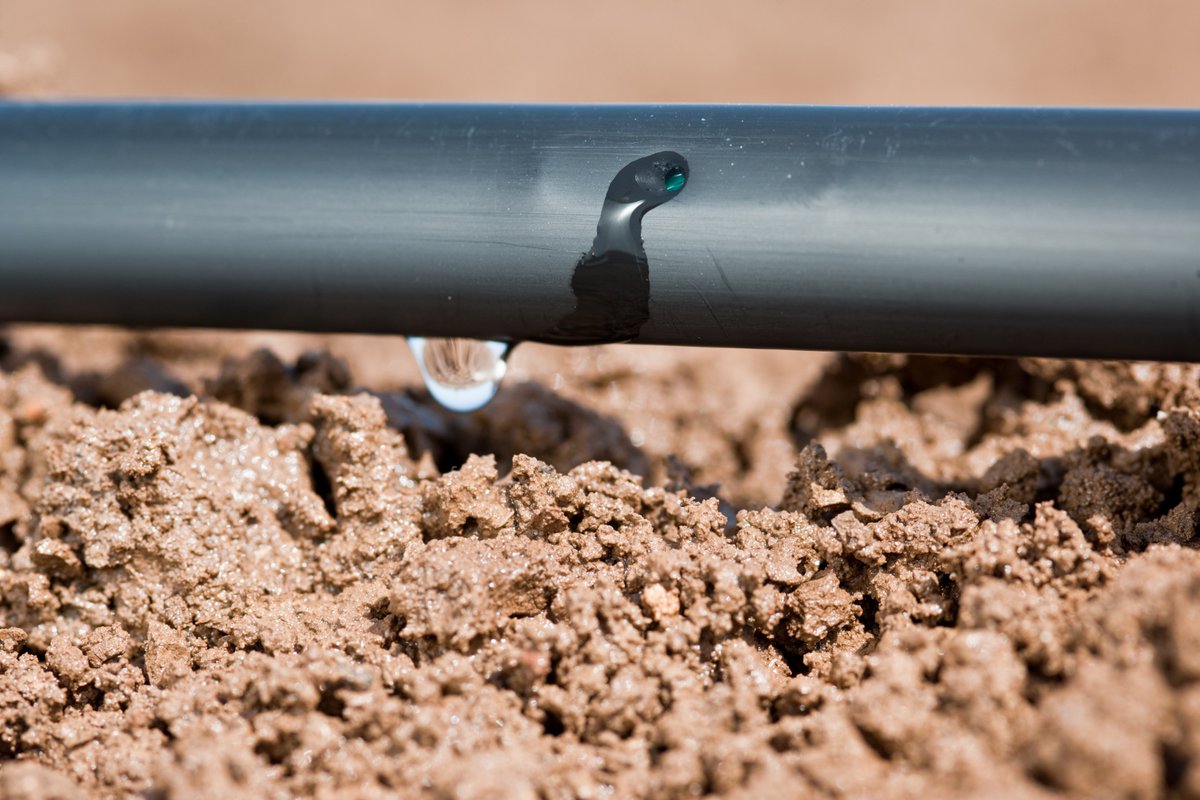 How do you choose the perfect irrigation system?
💧🚜From topography to crop type - everything you need to know to maximize field efficiency is in the new guide.

Read the full story: bit.ly/3LTiVxm

#AgTech #Irrigation #Farming #Sustainability #DripIrrigation
